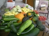 garden-004