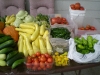 garden-005